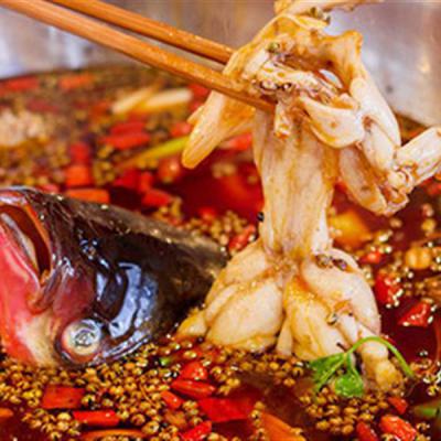 重慶美蛙魚頭火鍋技術培訓多少錢？
