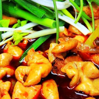 肥腸雞技術(shù)培訓(xùn)要去哪里學(xué)？